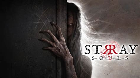 Stray souls. Things To Know About Stray souls. 